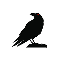 vector illustration of a crow