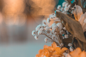 HERMOSAS FLORES DE PRIMAVERA