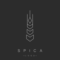 Spica logo. Wheat. Agriculture and Harvest Concept. Vector illustration
