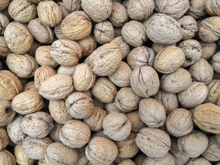 Natural walnuts in a wooden shell