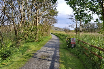 Derrynane park, Ireland
