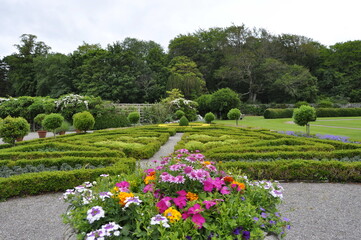 Fototapeta na wymiar Gardens in Killarney national park, Ireland