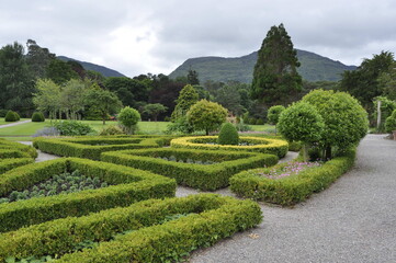 Gardens in Killarney national park, Ireland