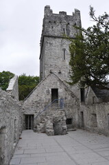 Muckross abbey, Ireland