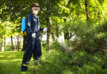 Worker spraying pesticide onto green bush outdoors. Pest control