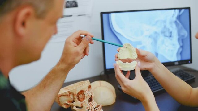 Doctor dentist teaches a student how to treat teeth using the example of a ceramic jaw