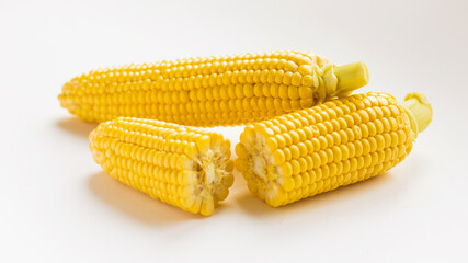 yellow corn cobs on a white background