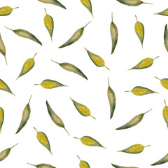 seamless watercolor hand drawn pattern with green yellow olive dry autumn fall wood leaves leaf of calm soft neutral color realistic plant. Botanical illustration forest woodland on white isolated