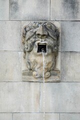 Lions Fountain in the forecourt of Notre-Dame Cathedral in France © Hanso Stephan/Wirestock
