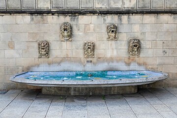 Lions Fountain in the forecourt of Notre-Dame Cathedral in France © Hanso Stephan/Wirestock