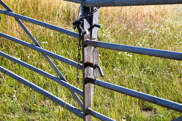 Locked metal framed farm gate to wheat crop field on the outskirts of West Tytherley village in...