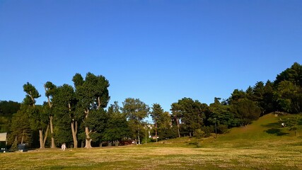 快晴の札幌月寒公園
