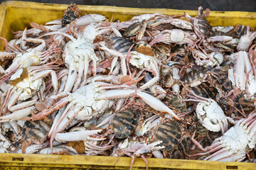 Seafood. crab claws. Fish market in India. collection of mud crab on display. Calcium carbonate.  Underside of crabs.Fisheries.  Fishing in Cochin or Kovalam coastal area of Kerala India. 