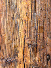 legno bagnato
