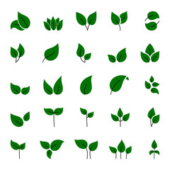 Fototapeta premium Set of green leaves design elements. This image is a vector illustration