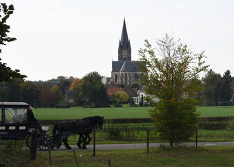 Horse walking in front off the church in the park from Thorn the Netherlands