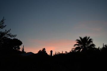 Fototapeta na wymiar palm tree sunset
