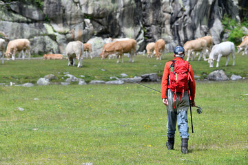 fly fisherman trout fishing with a hiking backpack and an orange jacket in the high mountains in summer