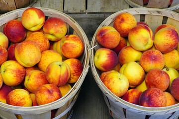 Bushels of fresh peaches in summer in New Jersey