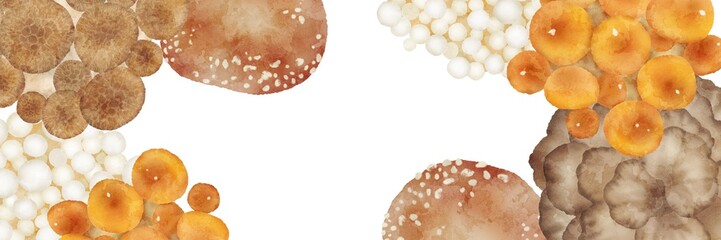 上から見たキノコ © フユタチ