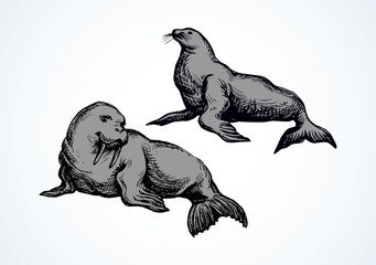 Walrus. Vector drawing