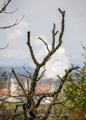 dead tree branches with bokeh of cooling towers of a nuclear power plant in the coutryside