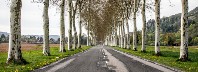alley old patched road in the countryside with hills and green grass 