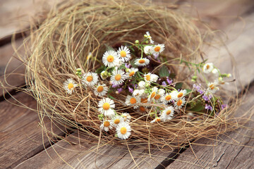 
Delicate wildflowers chamomile and sage in a nest (wrapped) of hay on a wooden background. Elegant...