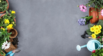 Flat lay composition with gardening tools on grey background. Space for text