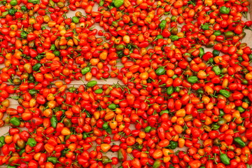 Red Chilli Pepper (Pimenta Malagueta Malaguetinha) at the market in Belem, state of Para, Brasil