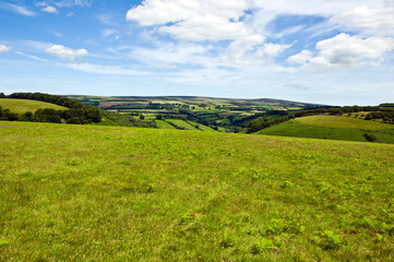 Exmoor countryside near  Exford, Exmoor, Somerset, England