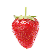 Delicious fresh ripe strawberry isolated on white