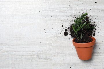 Overturned terracotta flower pot with soil and plant on white wooden background, flat lay. Space for text