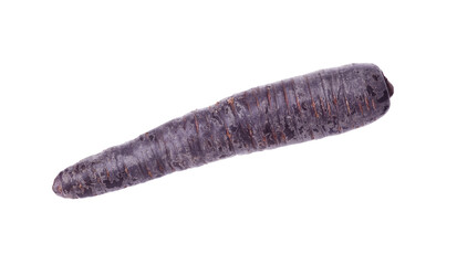 Fresh raw black carrot isolated on white