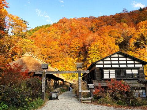 Autumn in Tsurunoyu Hot Spring (Tsurunoyu Onsen, 鶴の湯温泉), which is one of the oldest secluded hot-spring baths in Akita, JAPAN