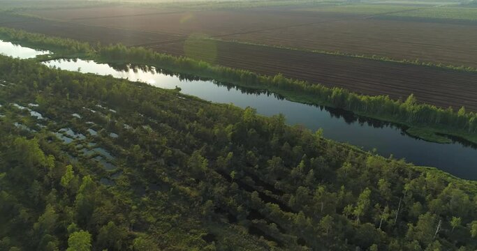 Aerial view of bog forest with lake and transition line to peat harvesting field