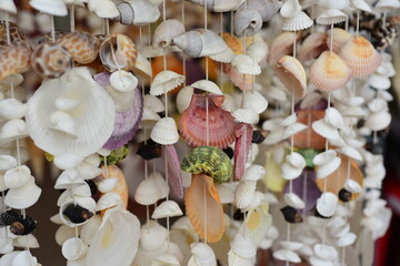 Close-up of shells used as home decorations	