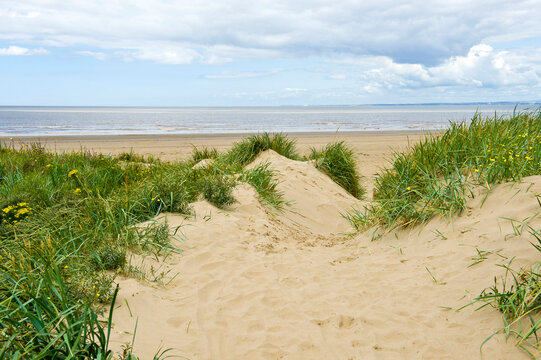 Sand dunes, Berrow Beach, Somerset, England