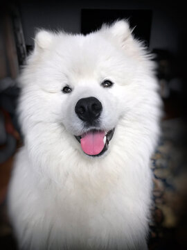 Sorrido!