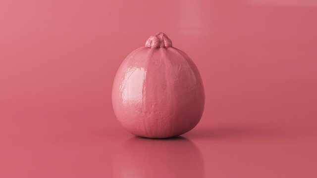 Realistic 3D pink paint pumpkin rotating on pink background. Abstract render of vegetable. Food animation.