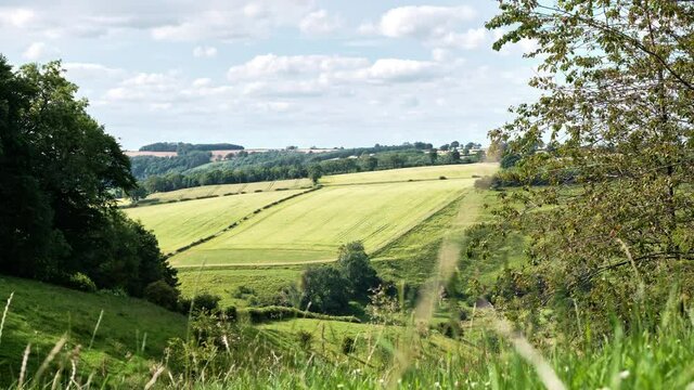 A time-lapse of the Yorkshire Wolds with a view over a sunny green valley - fields and grass in summer