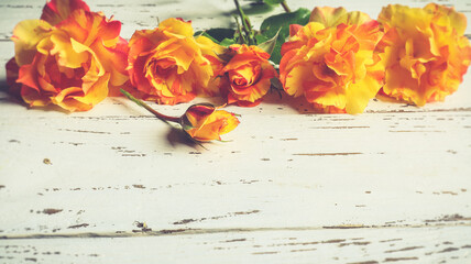 Orange and yellow roses lying on a white wooden vintage table, copy space, retro filter