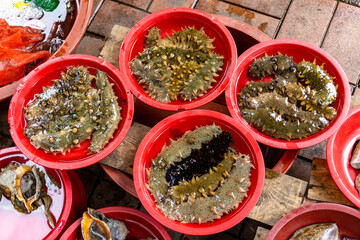 Fresh pacific sea cucumber sell in the fresh market