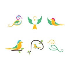 bird vector illustration designbird vector illustration design
