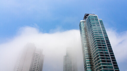 Thick large and heavy mist blow and pass through skyscrapers and cover all other buildings in the area