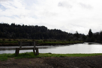 Obraz premium landscape of clouds and trees