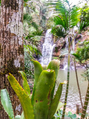 Beaultiful waterfall around the rocks. Located at Rio Acima city in Brazil.