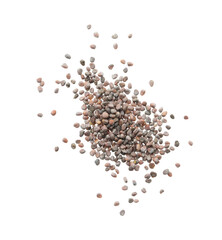 Pile of raw radish seeds on white background, top view. Vegetable planting