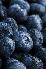 Juicy and ripe Blueberries close - up in full screen with dew drops.