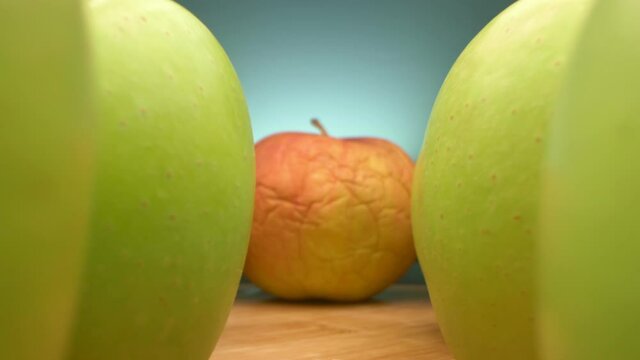 view between rows of apples. old wrinkled and young green apples together